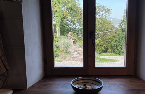 Furlo Apartment | Vacation apartment in the middle of paradise, on Monte Paganuccio/Marche. Nature and tranquillity.