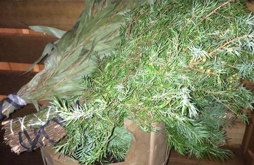 Gostilitsy House | Vacation home Banka u Ivana