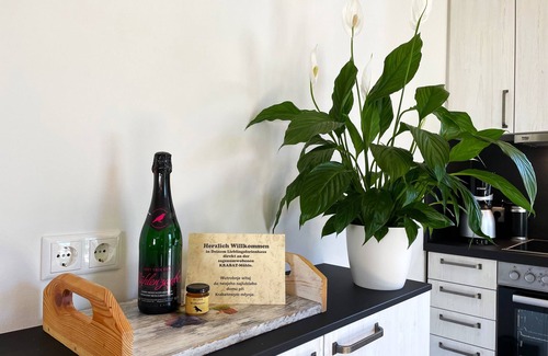 Hoyerswerda Apartment | Vacation home Birkenhain - Holiday homes KRABAT-Mühle Schwarzkollm