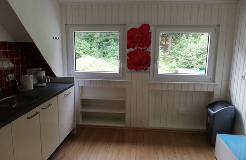 Winterberg House | Vacation home for 16 guests with 290m² in Winterberg (162606)