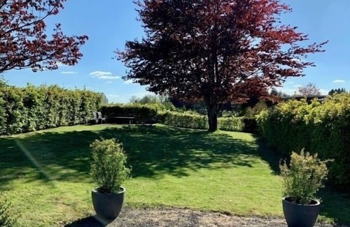 Neuastenberg House | Vacation home for 24 guests with 295m² in Winterberg (147381)