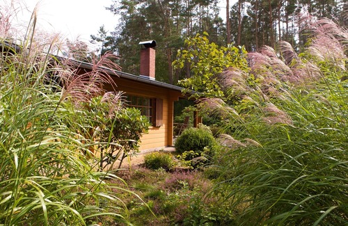 Suderburg House | Vacation home for 4 guests with 55m² in Böddenstedt (20539)