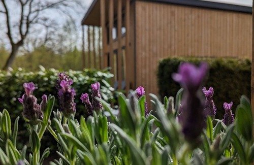 Papenburg House | Vacation home for 6 guests with 32m² in Papenburg (173663)