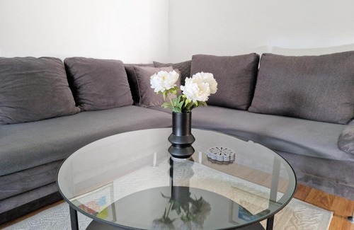 Borovo Apartment | Vacation home Ivana