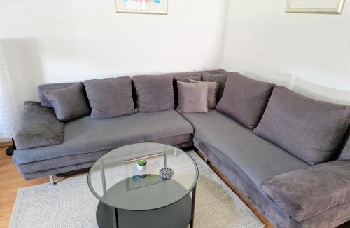 Borovo Apartment | Vacation home Ivana