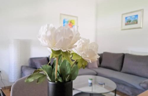 Borovo Apartment | Vacation home Ivana