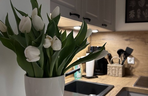 Schwerin Apartment | Vacation in the Kavaliershaus, apartment "Julia" on the first floor