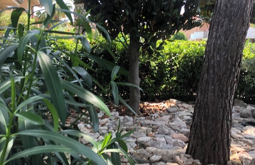 Civitanova Marche House | Vacation home Il Villino del Sole quiet and sunny for work or vacation