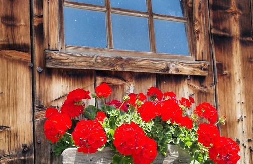 Ferndorf Other | Vacation on the farm