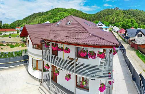 Tirgu Neamt Apartment | VAiAs Aparts