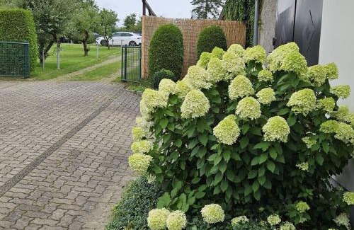 Plau am See House | Vakantieappartement Eldeufer II