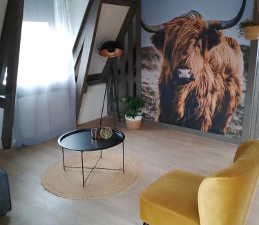 Noordwolde Apartment | Vakantieverhuur Noordwolde