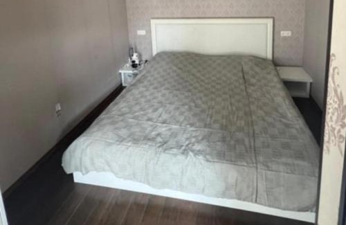 Tbilisi Apartment | Vake palace