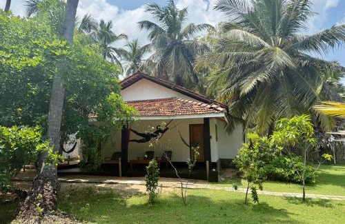 Kalpitiya Resort | Valampuri Kite Resort