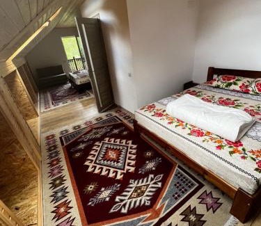 Trebujeni House | Valea Stâncii