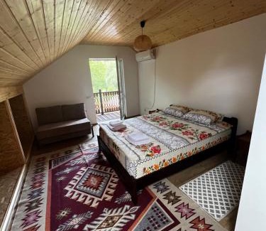 Trebujeni House | Valea Stâncii