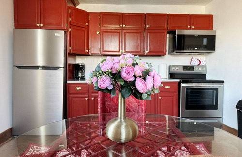 Evansville Apartment | Valentine Suite/1BD/1BA Apt in Holiday Housenn