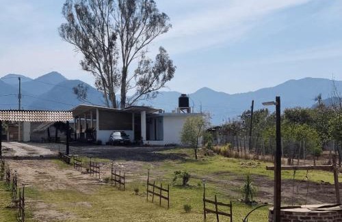 Tuxpan Other | Valle Colibrí