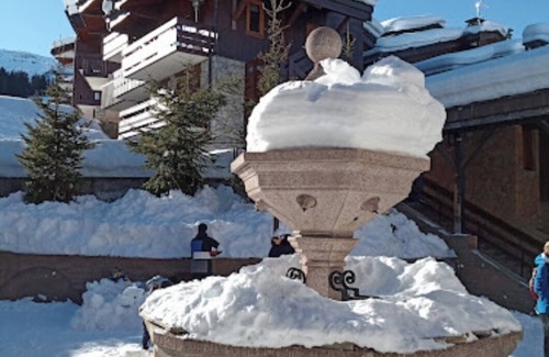 Les Avanchers-Valmorel Apartment | Valmorel La Belle, on skis!