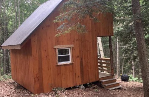 Camden House | Vana Kuti-cabin in the woods
