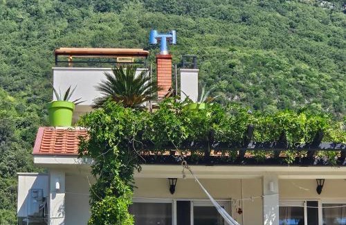 Denovici House | VanjAna