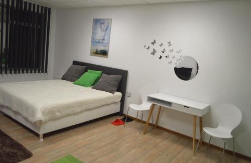 Satu Mare House | Vasarely Luxury Flat