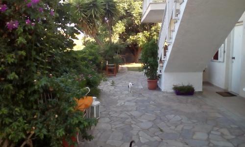Nikolaiika Apartment | Vasiliki Apartments