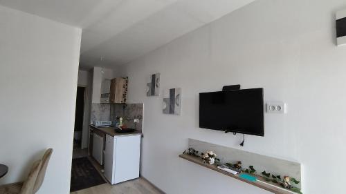 Susanj Apartment | Vaske