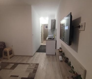 Susanj Apartment | Vaske