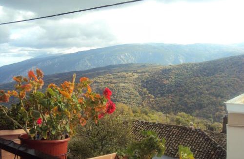 Rapsani House | Vassilis Guesthouse
