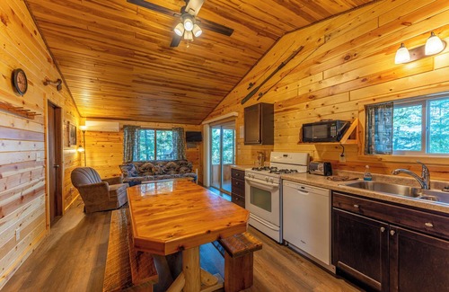 Orr Cabin | Vaulted Ceilings and a Stunning Main Room (Pet-Friendly)