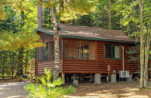 Orr Cabin | Vaulted Ceilings and a Stunning Main Room (Pet-Friendly)