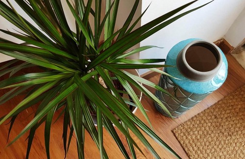 Sao Jose Apartment | VDS Guesthouse Cosy Apartment in City Center