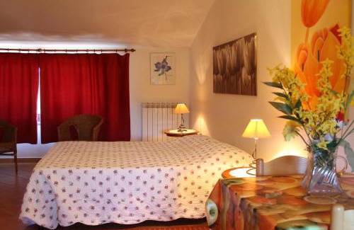 Viterbo Bed & Breakfast | Vecchio olmo