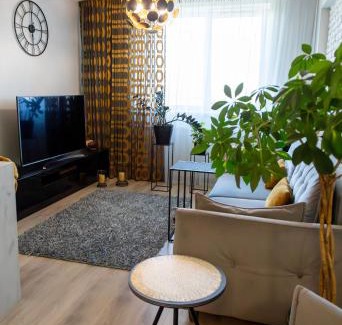 Lasnamae Apartment | Vega Residence