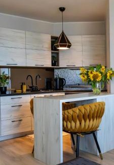 Lasnamae Apartment | Vega Residence