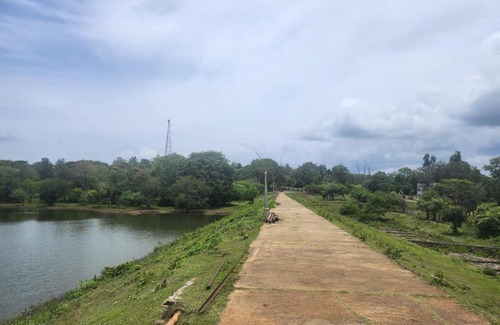 Masinagudi House | Vegetable Village.