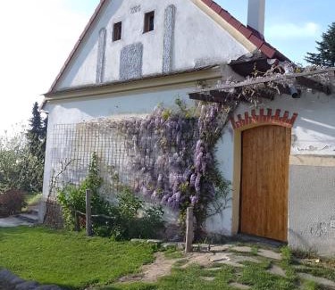 Zimutice House | Vejměnek Tuchonice