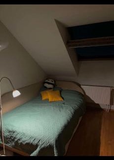 Vilnius city municipality Apartment | Velux