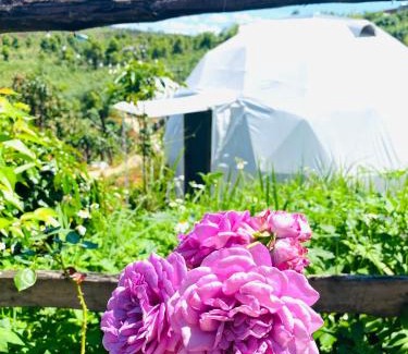 Kon Plong House | Ventosa HomeFarm - Venuestay