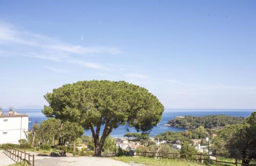 Naregno Apartment | Verde Blu - Elba Affitti