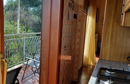 Rosignano Marittimo Apartment | Verde Mare apartment with sea view surrounded by ancient olive trees animals allowed