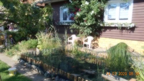 Dankerode Apartment | Vermiete sehr schönes Apartment in Dankerode im Harz