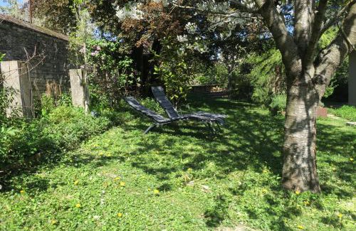 Chalon-sur-Saone Bed & Breakfast | Versant de vigne