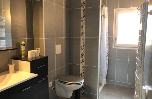 Salies-de-Bearn Apartment | VERT ANIS- Appartement T2 lumineux, très bien équipé, proche centre-ville