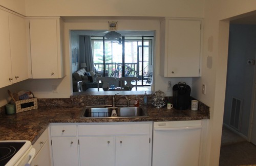 Tarpon Springs Condo | Very Clean Waterfront Condo Close to Tarpon Springs and Dunedin
