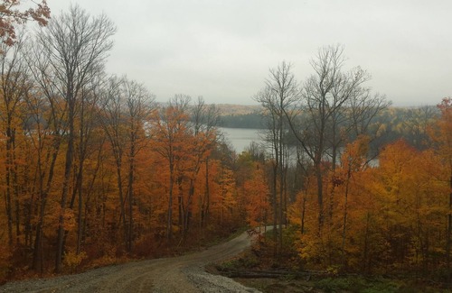 Deleage Cottage | Very private 700 sq ft four season cottage on a one on quiet peaceful lake.