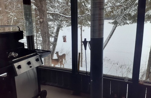 Deleage Cottage | Very private 700 sq ft four season cottage on a one on quiet peaceful lake.