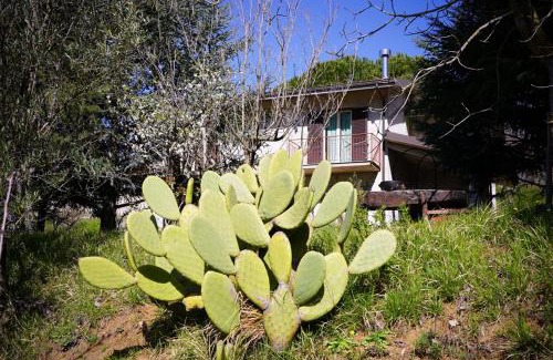 San Vito sullo Ionio Bed & Breakfast | Verzura Bed and Breakfast