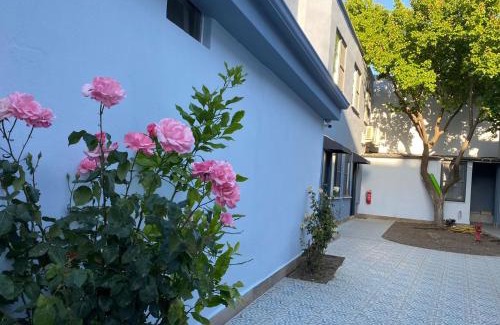 Altinoluk Bed & Breakfast | Vesta Butik Otel